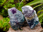 Natural Watermelon Fluorite Cobbed Specimens x 14 From Uis, Namibia