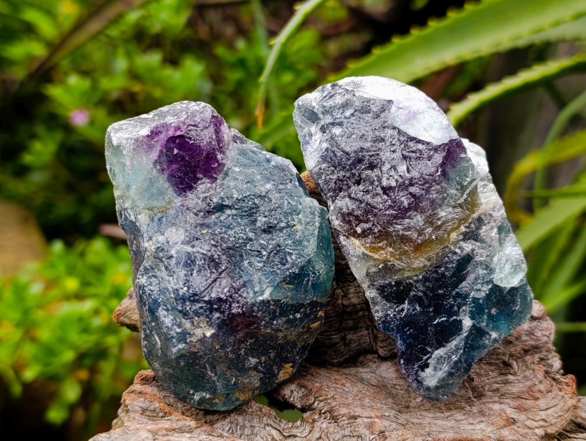 Natural Watermelon Fluorite Cobbed Specimens x 14 From Uis, Namibia