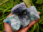 Natural Watermelon Fluorite Cobbed Specimens x 14 From Uis, Namibia