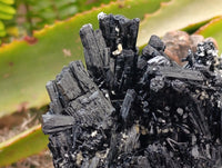 Natural Schorl Black Tourmaline Specimens x 2 From Erongo, Namibia