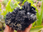 Natural Schorl Black Tourmaline Specimens x 2 From Erongo, Namibia - Toprock Gemstones and Minerals 