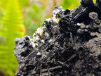 Natural Schorl Black Tourmaline Specimens x 2 From Erongo, Namibia - Toprock Gemstones and Minerals 