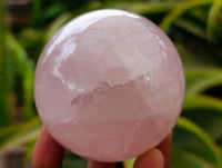 Polished Gemmy Rose Quartz Spheres x 3 From Madagascar
