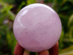 Polished Gemmy Rose Quartz Spheres x 3 From Madagascar - Toprock Gemstones and Minerals 