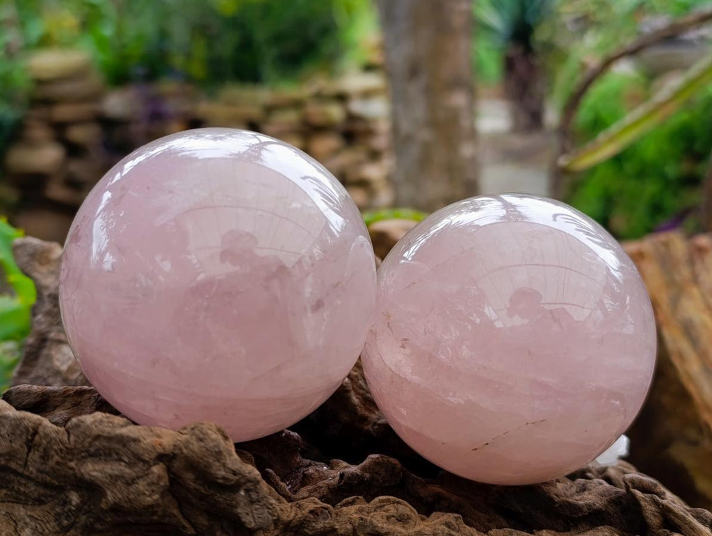 Polished Gemmy Rose Quartz Spheres x 3 From Madagascar - Toprock Gemstones and Minerals 