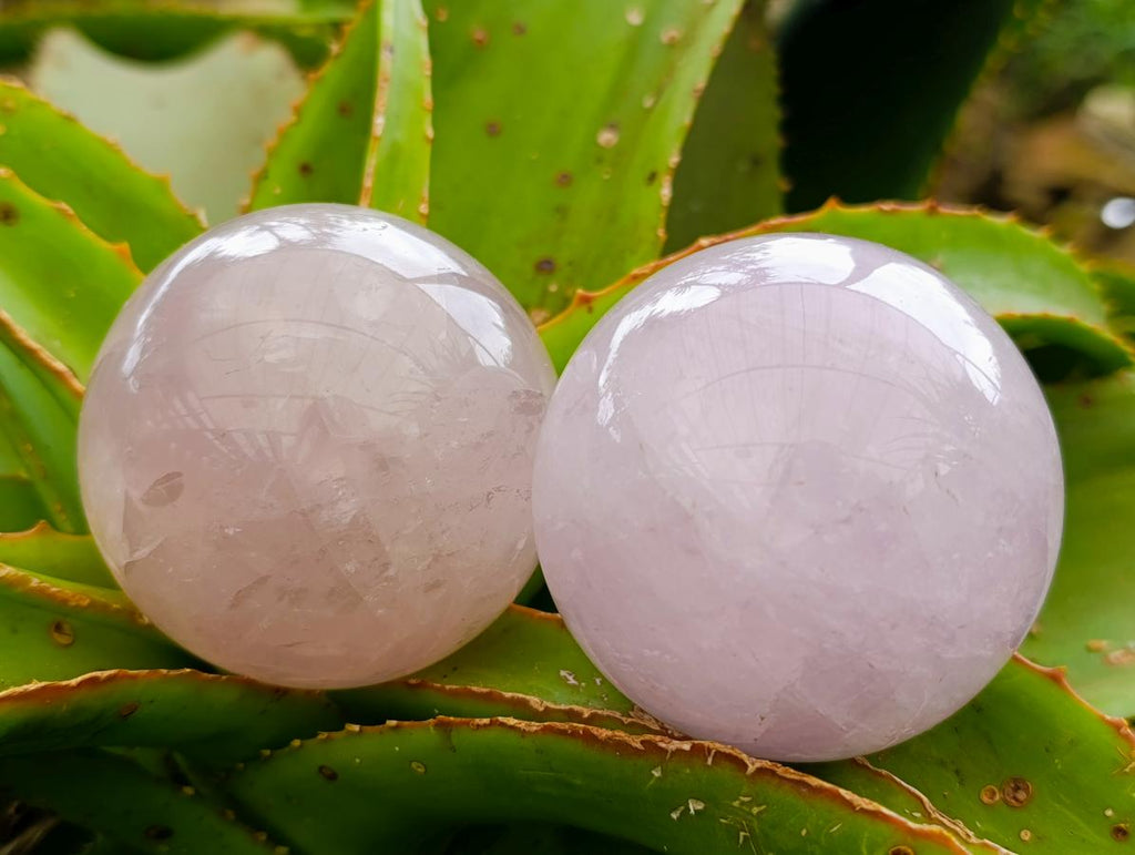 Polished Gemmy Rose Quartz Spheres x 3 From Madagascar - Toprock Gemstones and Minerals 