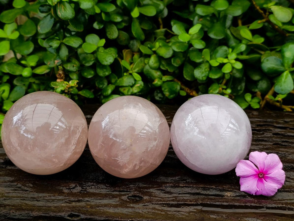 Polished Gemmy Rose Quartz Spheres x 3 From Madagascar - Toprock Gemstones and Minerals 