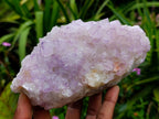 Natural Sunburst Amethyst Spirit Clusters x 2 From Boekenhouthoek, South Africa