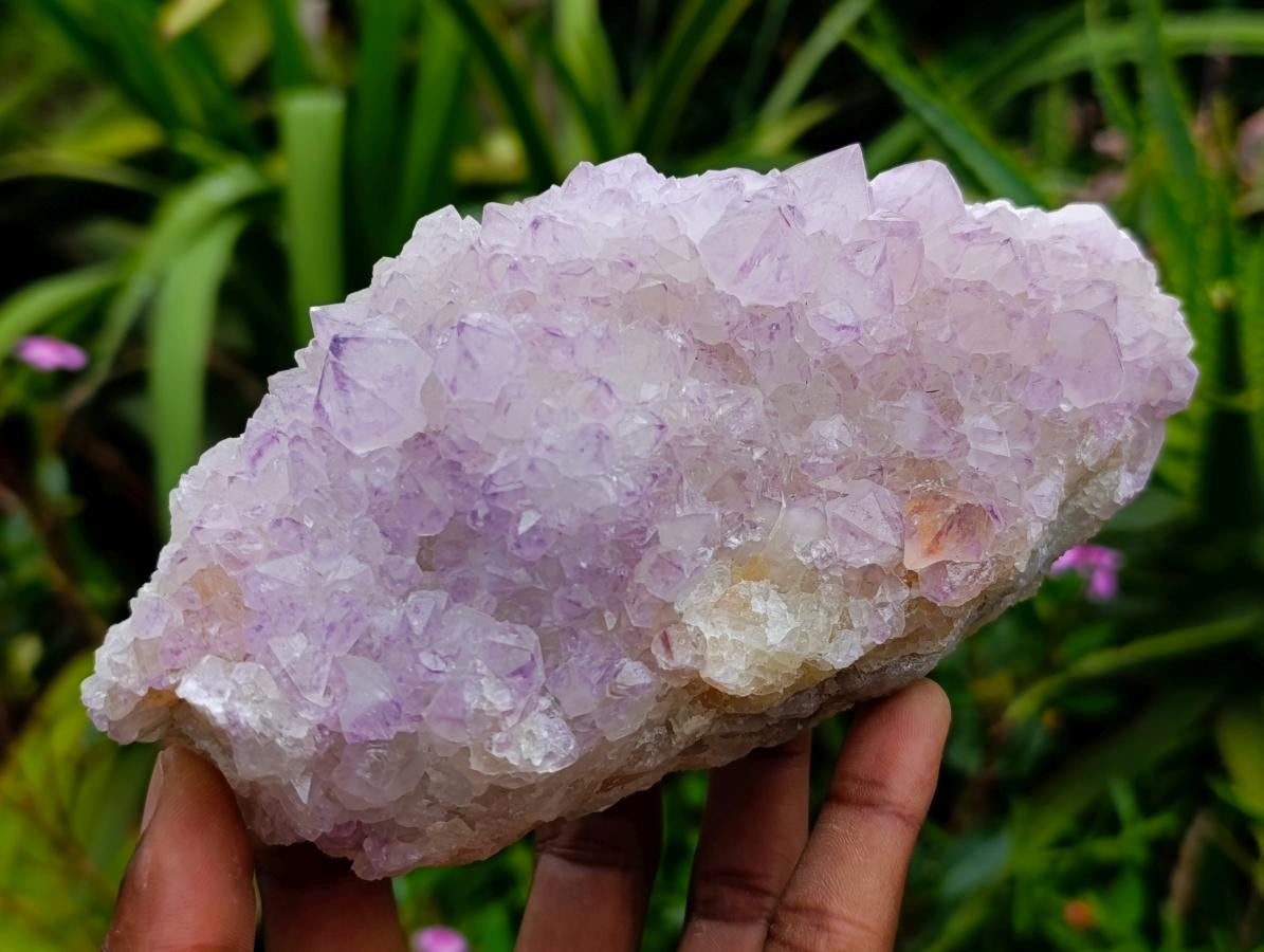Natural Sunburst Amethyst Spirit Clusters x 2 From Boekenhouthoek, South Africa