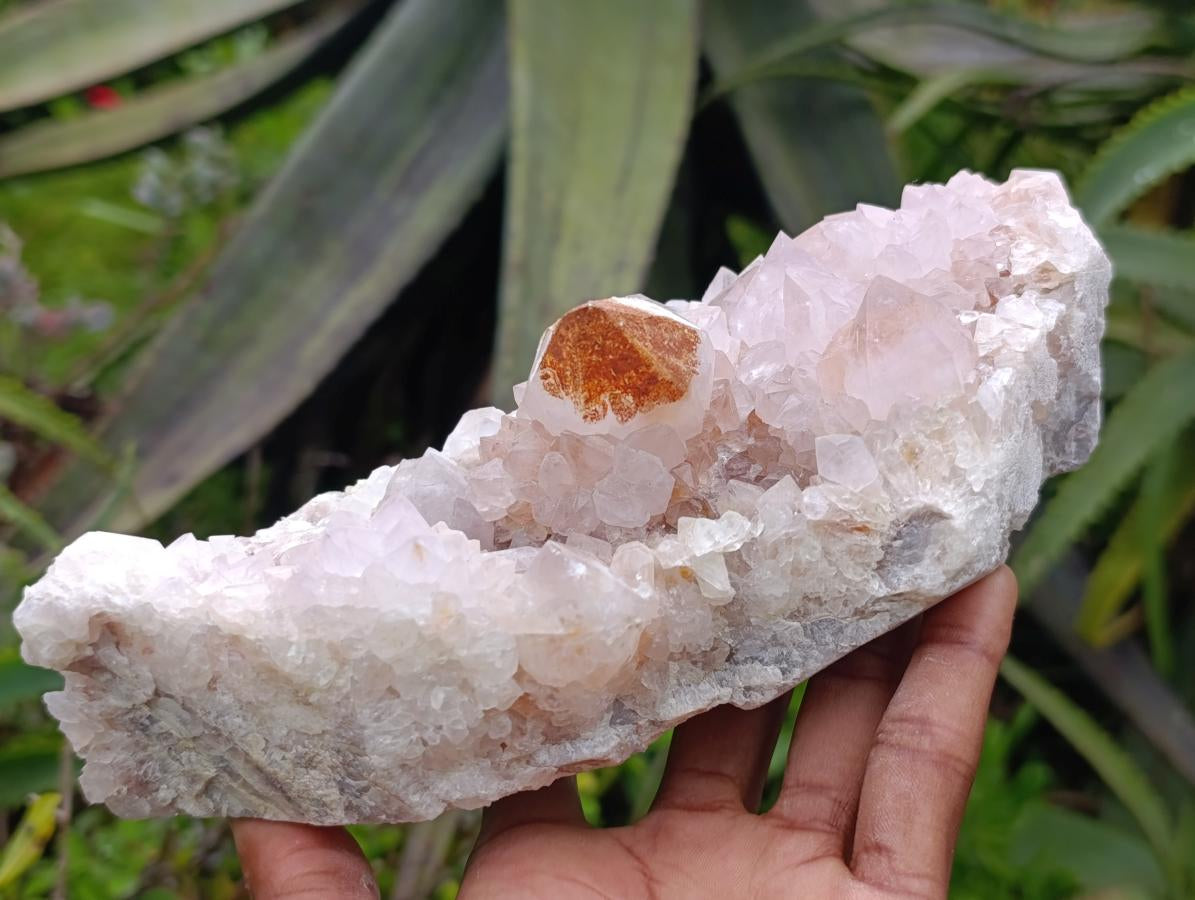 Natural Sunburst Amethyst Spirit Clusters x 2 From Boekenhouthoek, South Africa