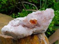 Natural Sunburst Amethyst Spirit Clusters x 2 From Boekenhouthoek, South Africa