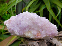 Natural Sunburst Amethyst Spirit Clusters x 2 From Boekenhouthoek, South Africa