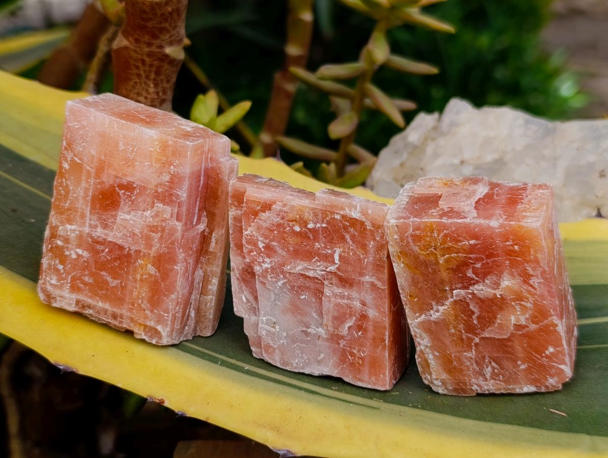 Natural Sunset Orange Calcite Specimens x 24 From Spitzkop, Namibia