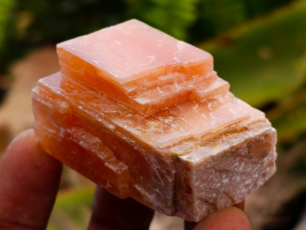 Natural Sunset Orange Calcite Specimens x 24 From Spitzkop, Namibia