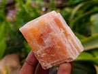Natural Sunset Orange Calcite Specimens x 24 From Spitzkop, Namibia