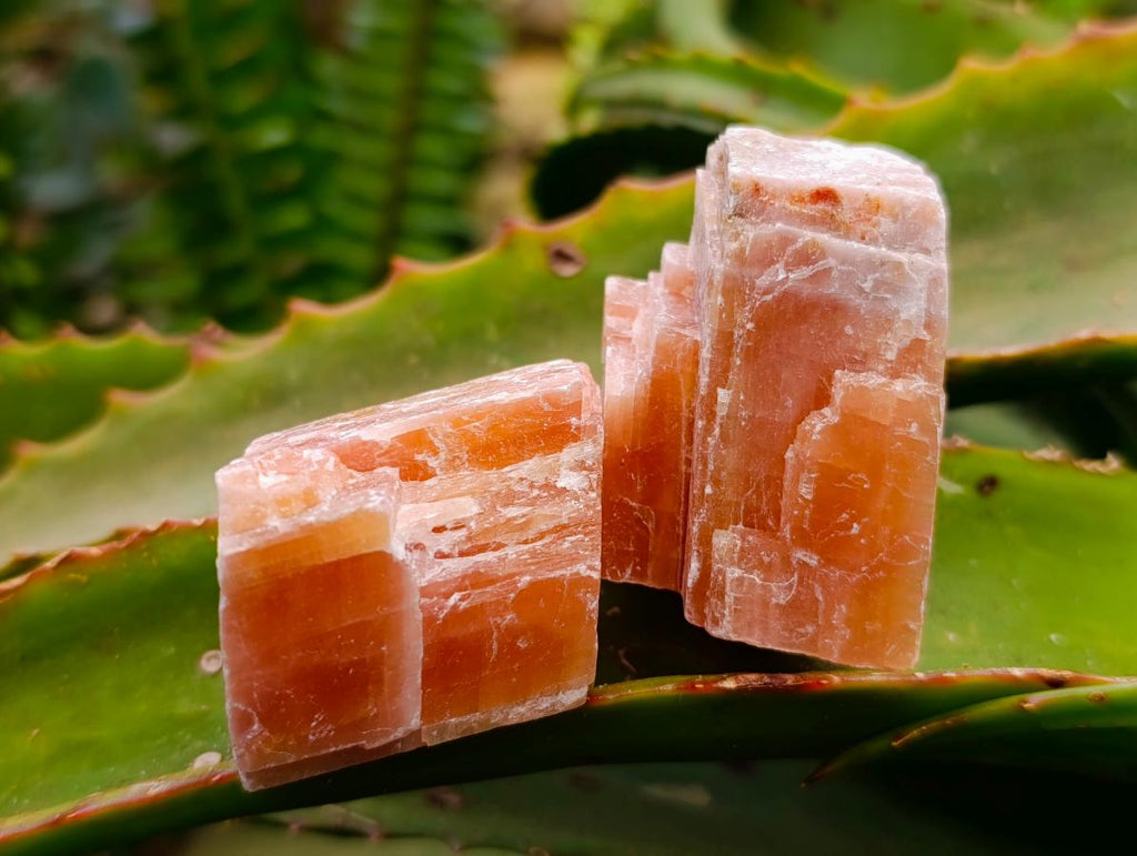 Natural Sunset Orange Calcite Specimens x 24 From Spitzkop, Namibia