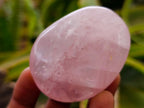 Polished Rose Quartz Palm Stones x 35 From Madagascar - Toprock Gemstones and Minerals 