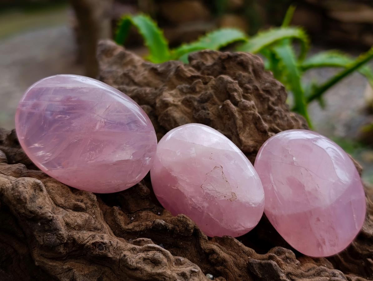 Polished Rose Quartz Palm Stones x 35 From Madagascar
