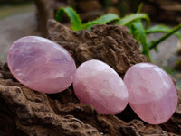 Polished Rose Quartz Palm Stones x 35 From Madagascar