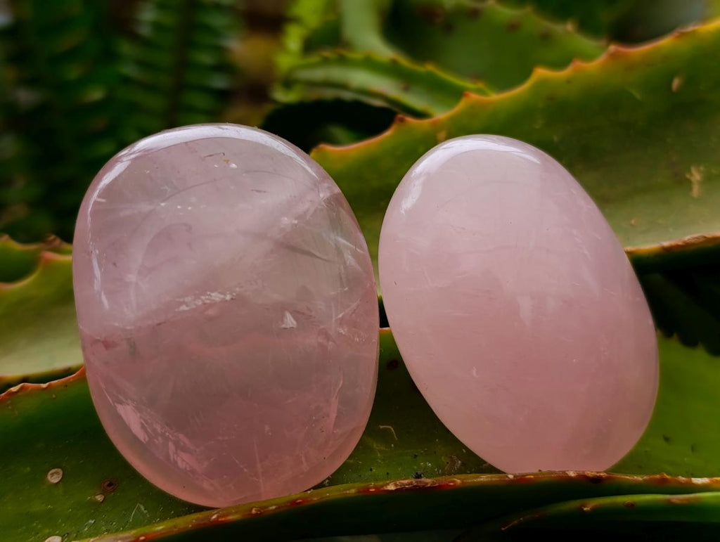 Polished Rose Quartz Palm Stones x 35 From Madagascar - Toprock Gemstones and Minerals 
