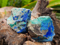 Natural Azurite and Malachite in Dolomite Specimens x 24 From Kaokoveld, Namibia