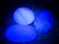 Polished Green Fluorite Palm Stones x 20 From Madagascar