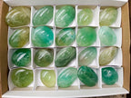 Polished Green Fluorite Palm Stones x 20 From Madagascar