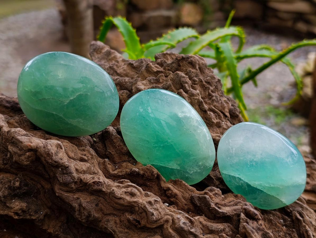 Polished Green Fluorite Palm Stones x 20 From Madagascar