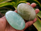 Polished Green Fluorite Palm Stones x 20 From Madagascar