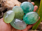 Polished Green Fluorite Palm Stones x 20 From Madagascar
