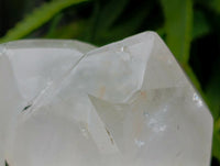 Polished Clear Quartz Crystals x 2 From Madagascar