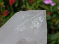 Polished Clear Quartz Crystals x 2 From Madagascar