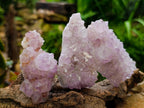 Natural Sunburst Amethyst Spirit Clusters x 12 From Boekenhouthoek, South Africa