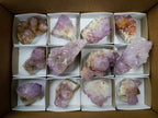 Natural Sunburst Amethyst Spirit Clusters x 12 From Boekenhouthoek, South Africa
