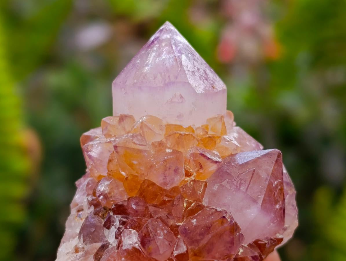 Natural Sunburst Amethyst Spirit Clusters x 12 From Boekenhouthoek, South Africa