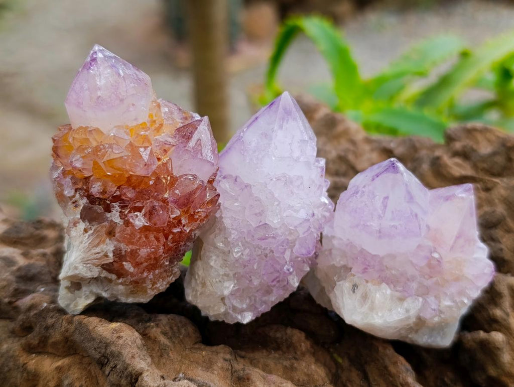 Natural Sunburst Amethyst Spirit Clusters x 12 From Boekenhouthoek, South Africa
