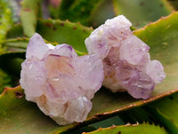 Natural Sunburst Amethyst Spirit Clusters x 12 From Boekenhouthoek, South Africa