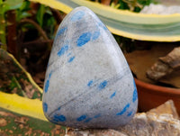 Polished Blue Spotted Spinel In Quartz Standing Free Forms x 2 From Madagascar