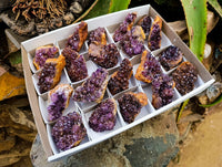 Natural Amethystos Amethyst Clusters x 20 From Kwaggafontein, South Africa