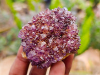 Natural Amethystos Amethyst Clusters x 20 From Kwaggafontein, South Africa