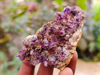 Natural Amethystos Amethyst Clusters x 20 From Kwaggafontein, South Africa