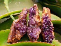 Natural Amethystos Amethyst Clusters x 20 From Kwaggafontein, South Africa
