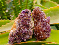 Natural Amethystos Amethyst Clusters x 20 From Kwaggafontein, South Africa