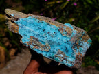 Natural Drusy Coated Chrysocolla With Malachite Specimens x 2 From Lupoto Mine, Congo - Toprock Gemstones and Minerals 