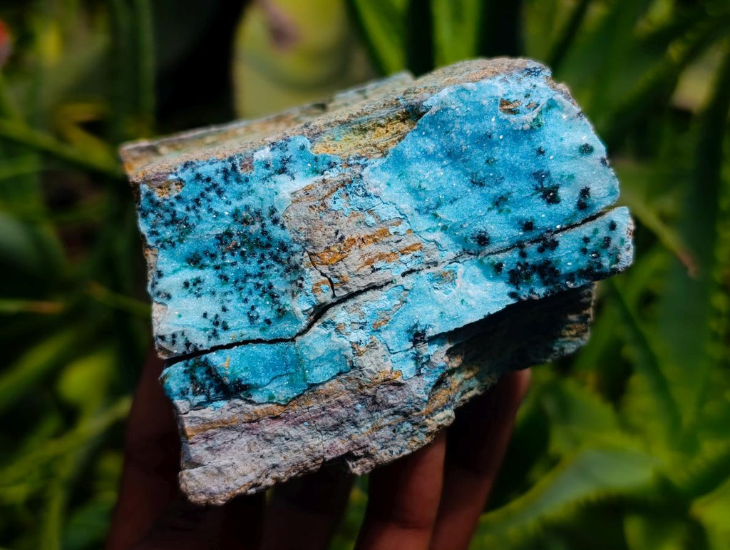 Natural Drusy Coated Chrysocolla With Malachite Specimens x 2 From Lupoto Mine, Congo - Toprock Gemstones and Minerals 