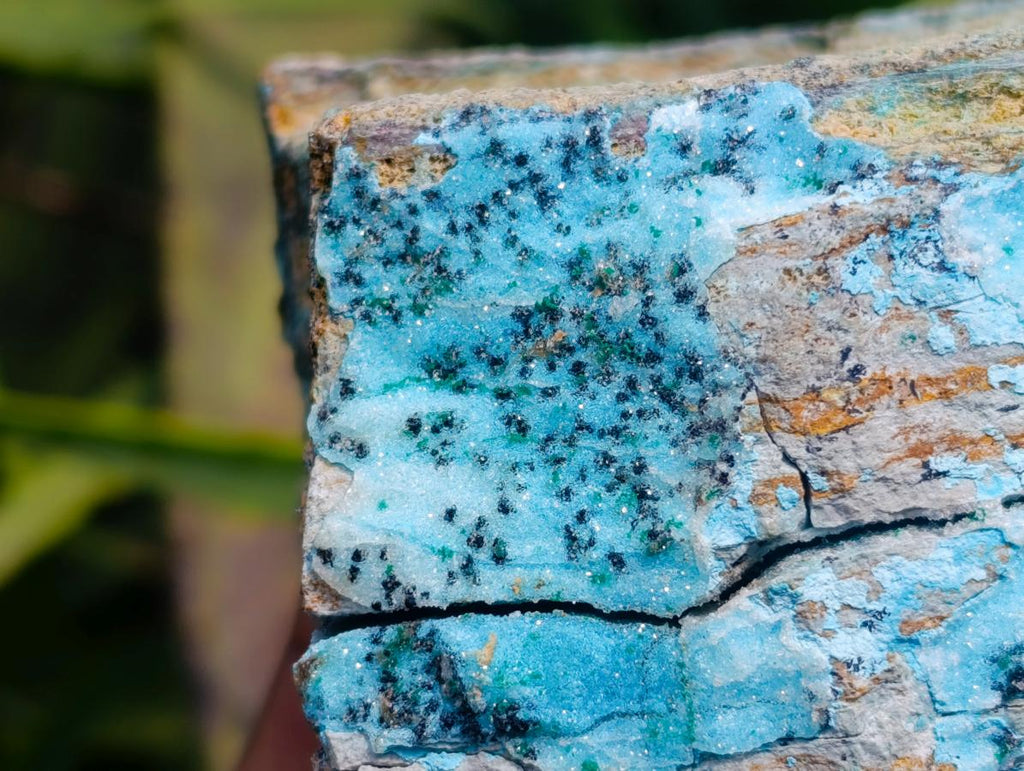 Natural Drusy Coated Chrysocolla With Malachite Specimens x 2 From Lupoto Mine, Congo - Toprock Gemstones and Minerals 