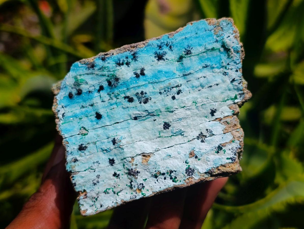 Natural Drusy Coated Chrysocolla With Malachite Specimens x 2 From Lupoto Mine, Congo - Toprock Gemstones and Minerals 