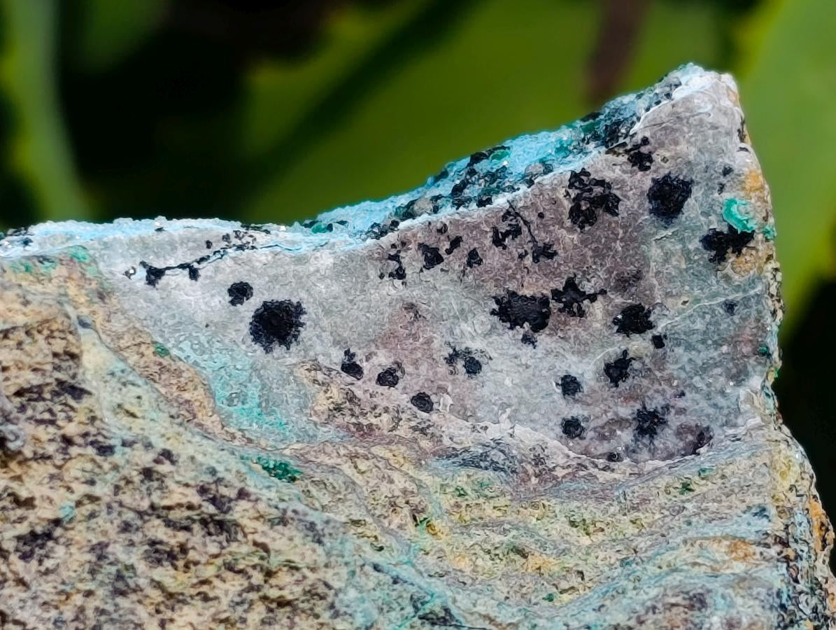 Natural Drusy Coated Chrysocolla With Malachite Specimens x 2 From Lupoto Mine, Congo - Toprock Gemstones and Minerals 