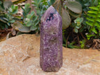 Polished Lepidolite With Pink Rubellite Points x 3 From Ambatondrazaka, Madagascar