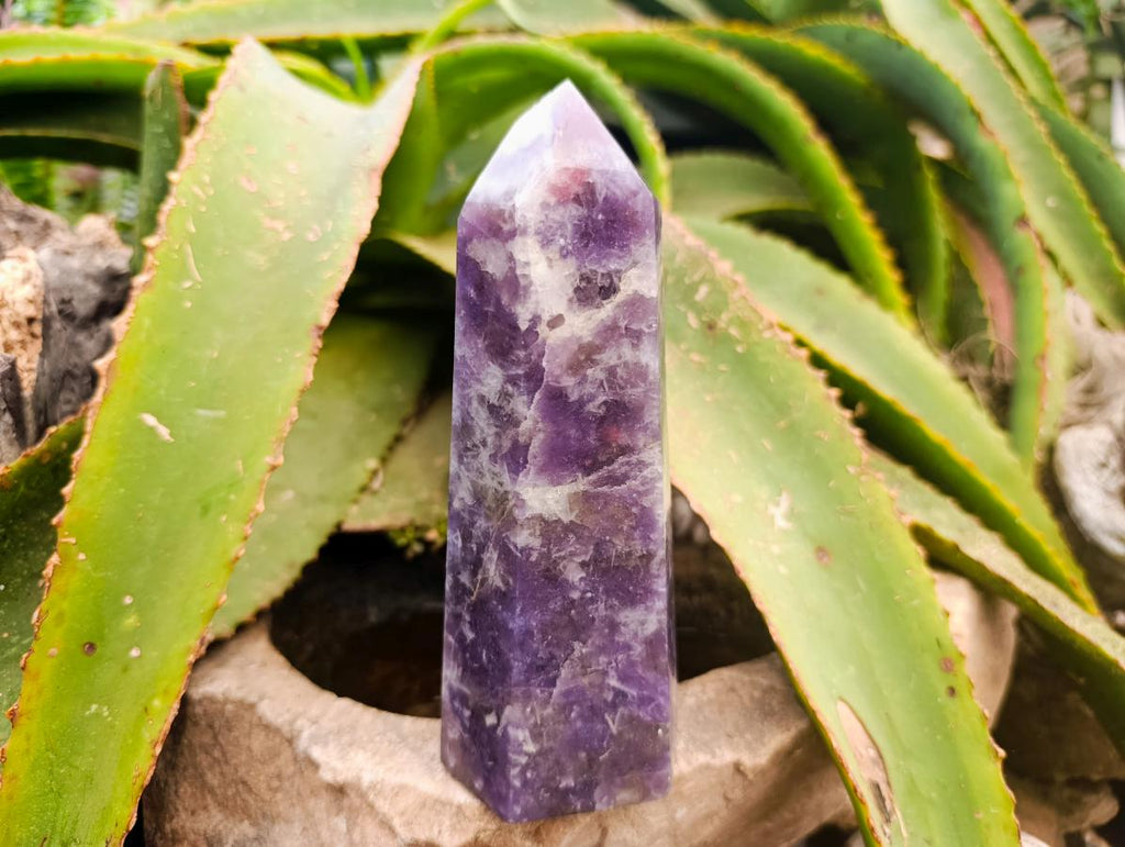 Polished Lepidolite With Pink Rubellite Points x 3 From Ambatondrazaka, Madagascar